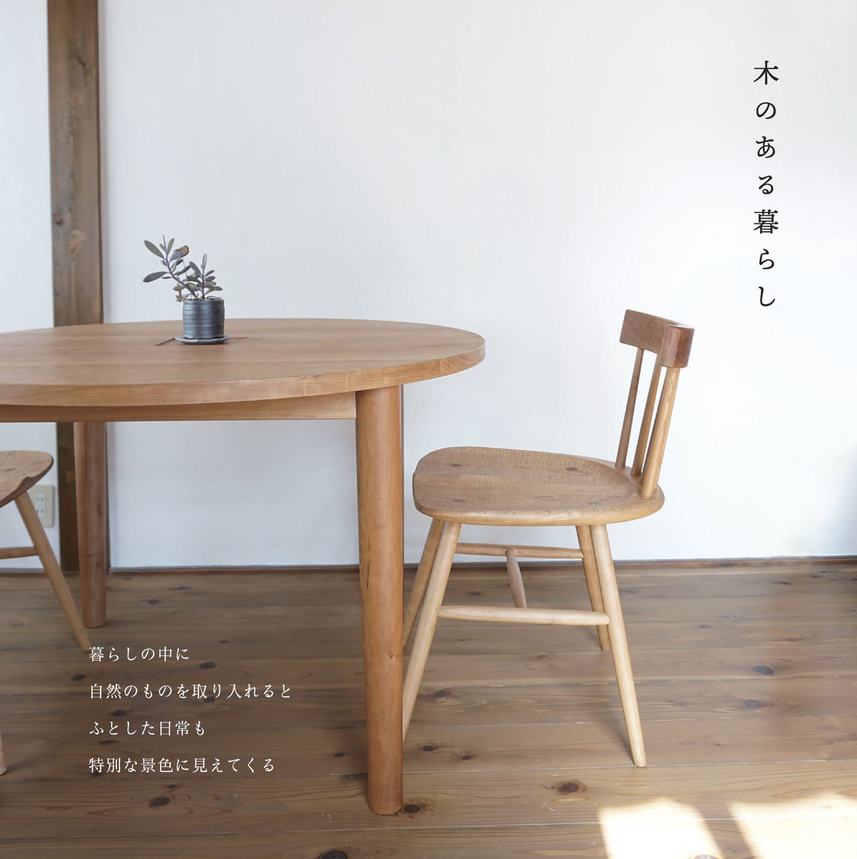 ダイニングチェア | COCOROSTORE