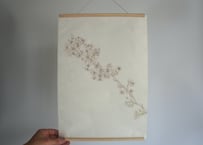 Tapestry　- Flora of Tottori -
