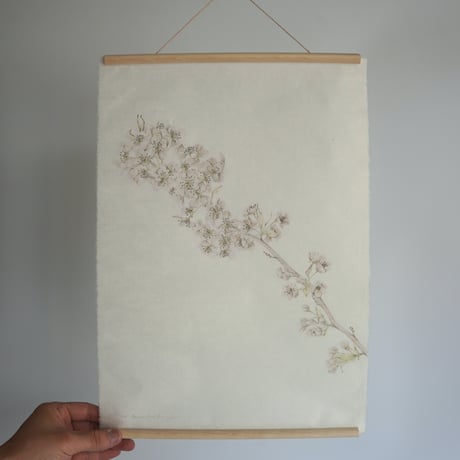 flore | STORES flore | STORES