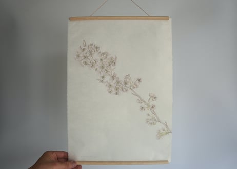 Tapestry　- Flora of Tottori -