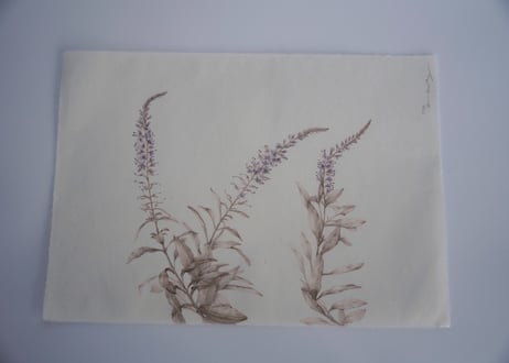 Tapestry　- Flora of Tottori -