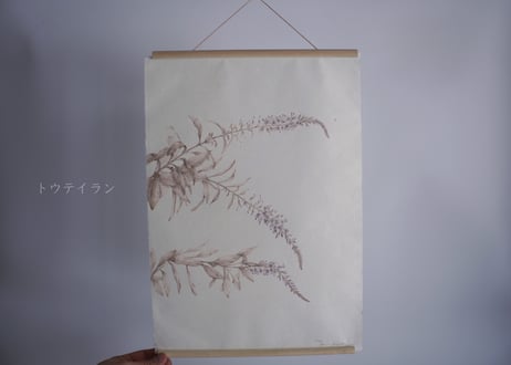 Tapestry　- Flora of Tottori -