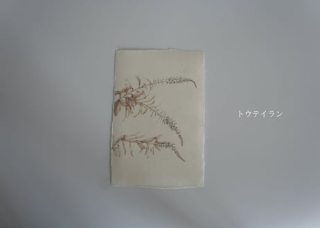 Botanical Postcards  - Flora of Tottori -