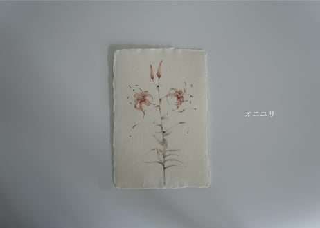 Botanical Postcards  - Flora of Tottori -