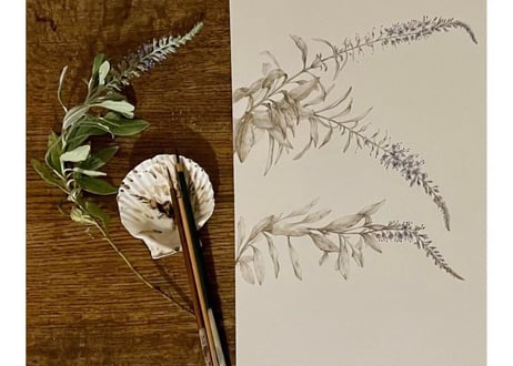 Tapestry　- Flora of Tottori -
