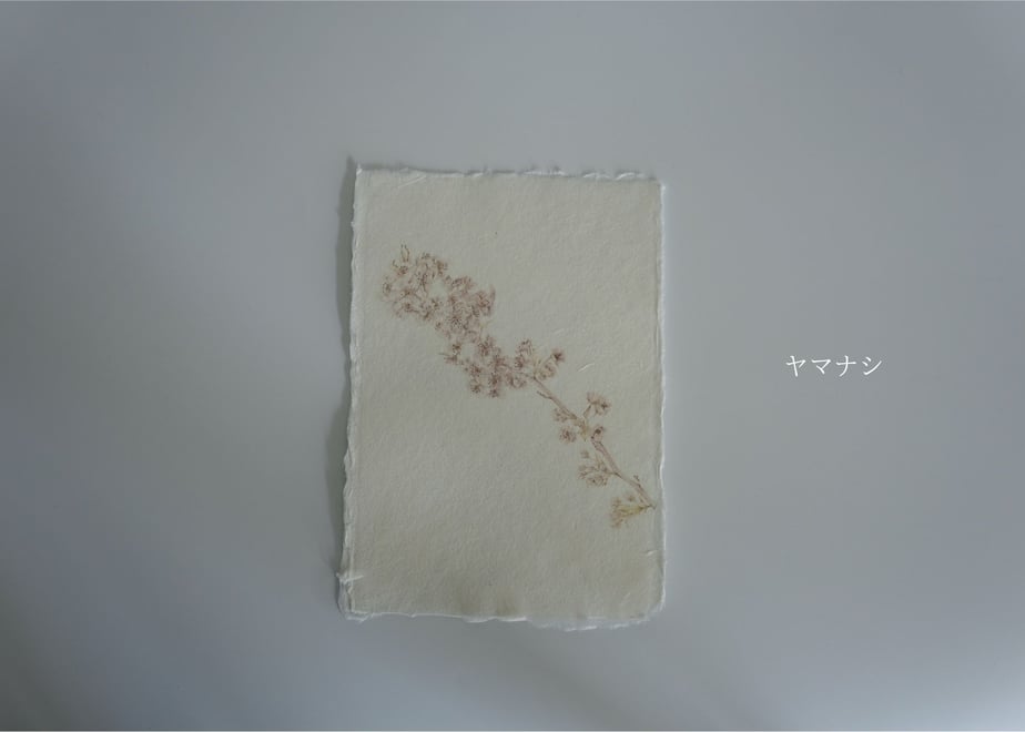 65b4df5252c94a2f44efd3c6