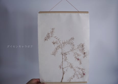 Tapestry　- Flora of Tottori -