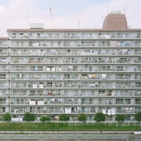 毛玉『新しい生活』