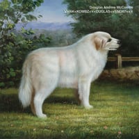 Douglas Andrew McCombs（ダグラス・アンドリュー・マッコームズ） 『VMAK<KOMBZ<<<DUGLAS<<6NDR7<<<』（CD）