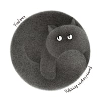 豊田道倫『1st DEMO』（CDR）※再入荷版です | HEADZ onlineshop