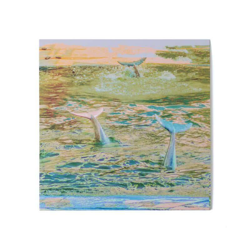 現代音楽 クラシック レコードまとめ売り クラシック 現代音楽 レコードまとめ売り 2025年最新】Yahoo