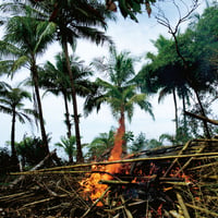『Metaphors』 Selected Soundworks from the Cinema of Apichatpong Weerasethakul（CD）