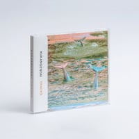 竹村延和（Nobukazu Takemura） 『意味のたま』（knot of meaning