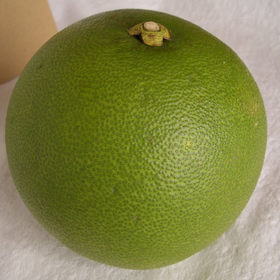 65c0383be0d4780236818ff6