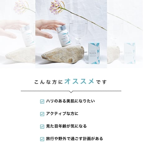 ソルプロプリュスホワイト