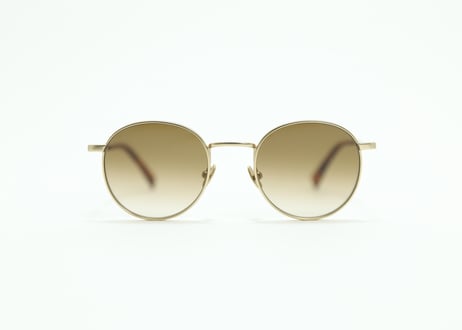 Coline E81 / Verres Degrade Marron Lens