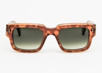 STEF E81L5 / Verres Degrade Vert