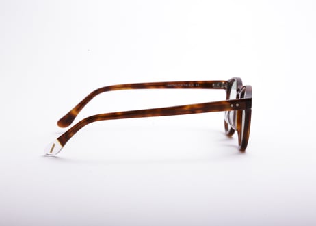 Auguste E81 Light-Green Lens(Asian Fit)