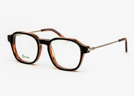 LAURENT E2L81