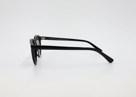 Cesar E2 Black Pola Lens (Asian Fit)