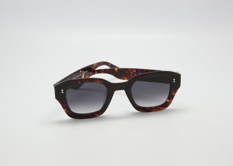 Axel Chay E20   Grad purple lens (Asian Fit)
