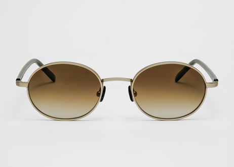 Patrick / E52 / Verres Degrade Marron / Cat.3