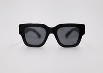 Radelaide E2 Black Pola Lens (Asian Fit)