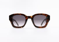 Axel E20   Grad purple lens (Asian Fit)