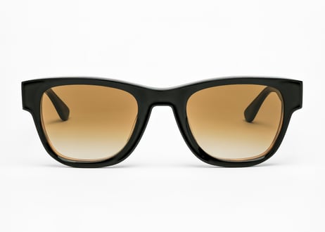 Melissa / E2L81 / Verres Degrade Marron / Cat.3
