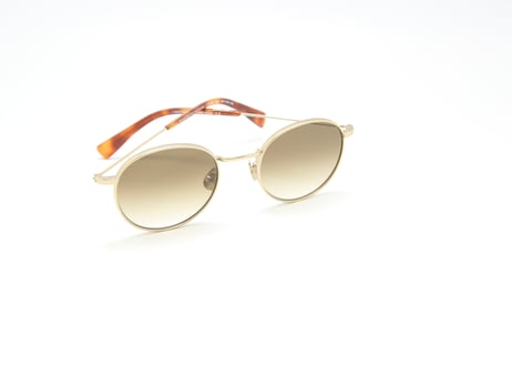 Coline E81 / Verres Degrade Marron Lens