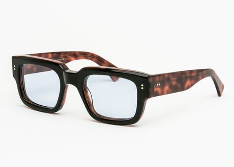 STEF E2L81 / Verres Bleu tamise