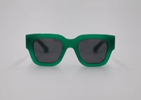 Radelaide E12 Black Pola Lens (Asian Fit)