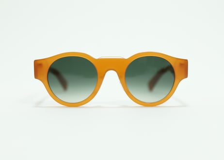 Michelle E23/ Verres Degrade Vert