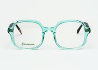Alizee (Asian fit) E31-E9  -26SS New color-