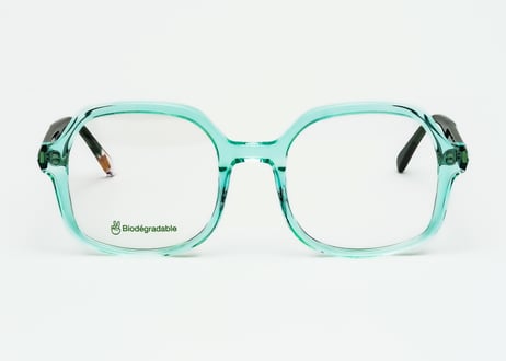Alizee (Asian fit) E31-E9  -26SS New color-