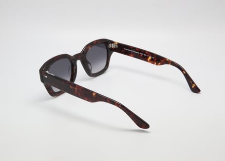 Axel Chay E20   Grad purple lens (Asian Fit)
