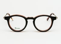 AUREL E2L81