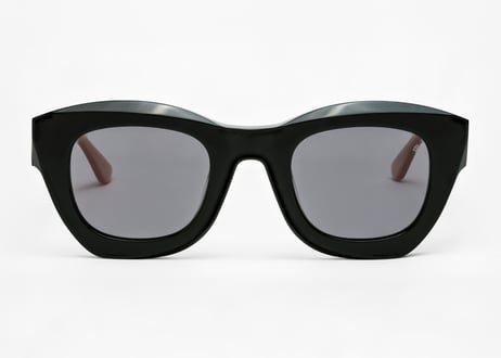 Amalfi-R / E2-E2/E22 / Verres Black Pola / Cat.3