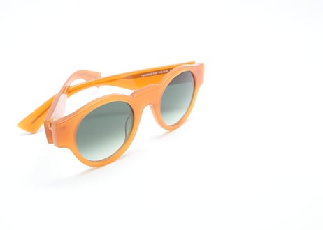 Michelle E23/ Verres Degrade Vert