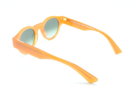 Michelle E23/ Verres Degrade Vert