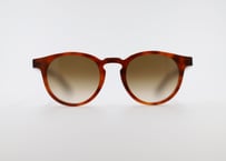 Cesar E81 Brown Gradient Lens(Asian Fit)