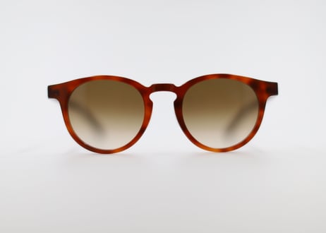 Cesar E81 Brown Gradient Lens(Asian Fit)