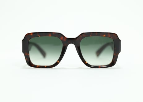 Joseph E20 / Verres Degrade Vert