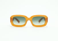 Amy E23   Verres Degrade Vert Lens