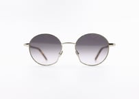 Leo  E20 - purple grad  Lens