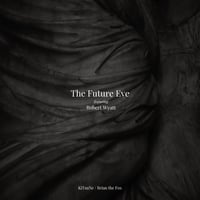 The Future Eve featuring Robert Wyatt - KiTsuNe / Brian The Fox (2LP)