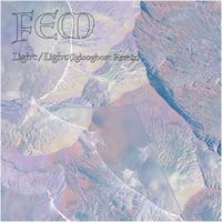 FEM - Light (7")