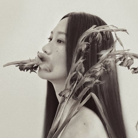 CROSSS: li yilei, aus, iu takahashi