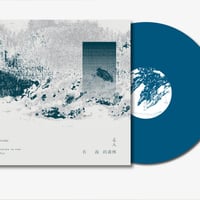 Cicada - Hiking in the Mist (LP)