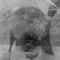 Cuushe - Faded Corners (CD)
